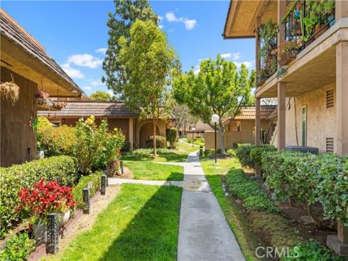 1164  Las Lomas  B  Drive, La Habra, CA