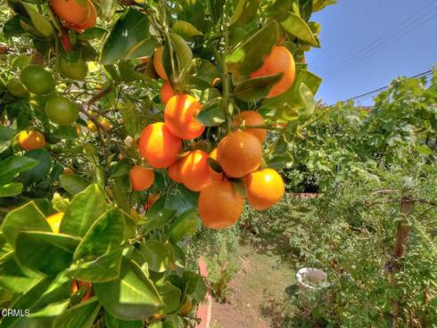 1320  Silliker   Avenue, La Habra, CA