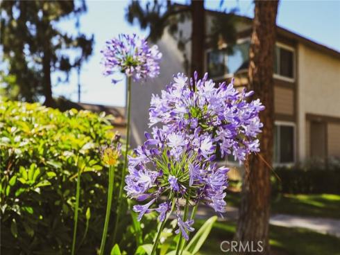 1419  Norwich   Lane, La Habra, CA