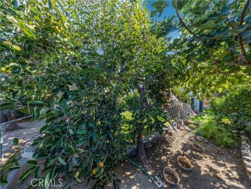 2640  David  , La Habra, CA