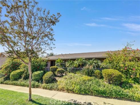 919 Glencliff