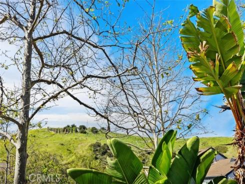 11 Oatfield Farm , Ladera Ranch, CA