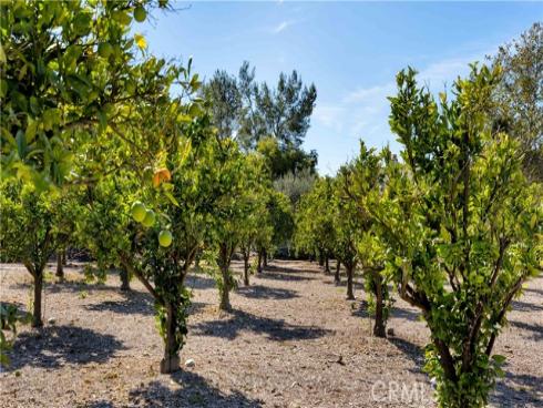 2  Thomas   Road, Ladera Ranch, CA