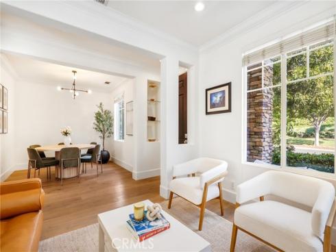 217  Sklar   Street, Ladera Ranch, CA