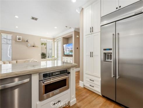 217  Sklar   Street, Ladera Ranch, CA