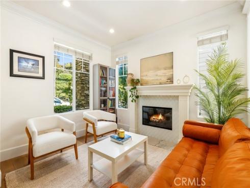 217  Sklar   Street, Ladera Ranch, CA