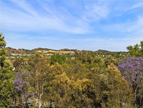 8  St Steven   Court, Ladera Ranch, CA