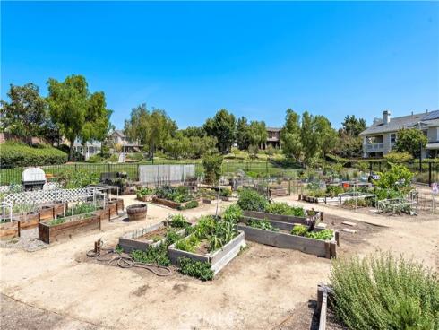 29 Bushwood , Ladera Ranch, CA