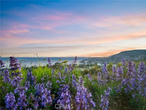 825  Coast View   Drive, Laguna Beach, CA