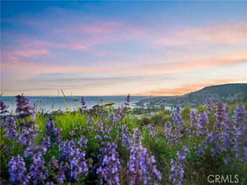 825  Coast View   Drive, Laguna Beach, CA