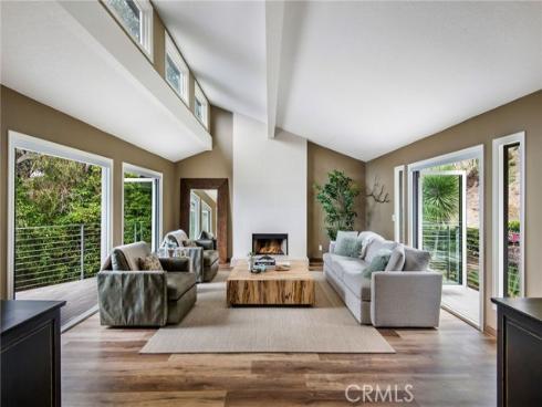 31321  Ceanothus   Drive, Laguna Beach, CA