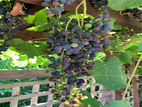 2335 Hillview Drive , Laguna Beach, CA