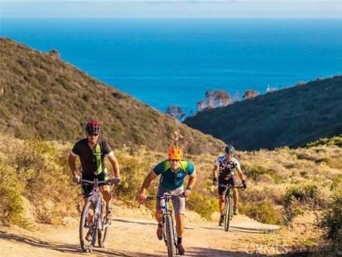 155 Mcaulay Place, Laguna Beach, CA