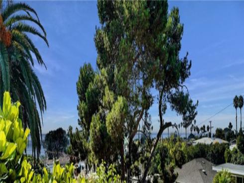 251 Viejo Street, Laguna Beach, CA