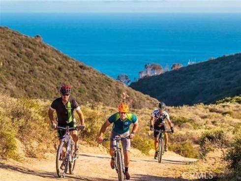 1445  Bluebird Canyon  , Laguna Beach, CA