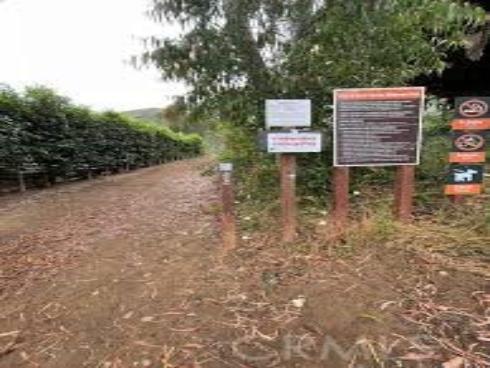 31507  Eagle Rock   Way, Laguna Beach, CA