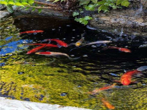 1960  Ocean  , Laguna Beach, CA