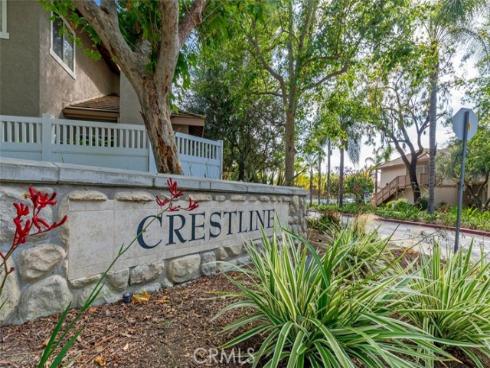 24382  Larchmont  66  Court, Laguna Hills, CA