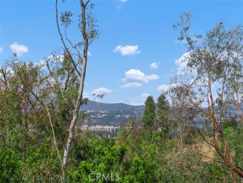 27121 Shenandoah Drive, Laguna Hills, CA
