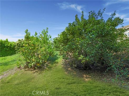 26071 Glen Canyon Drive, Laguna Hills, CA