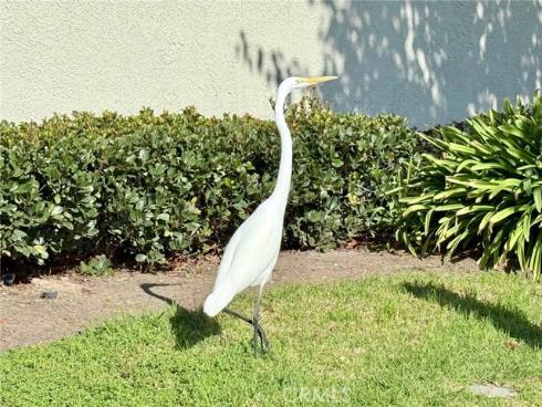 22901 Caminito Flores 130 , Laguna Hills, CA