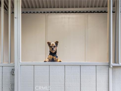 26031  Waterwheel  , Laguna Hills, CA