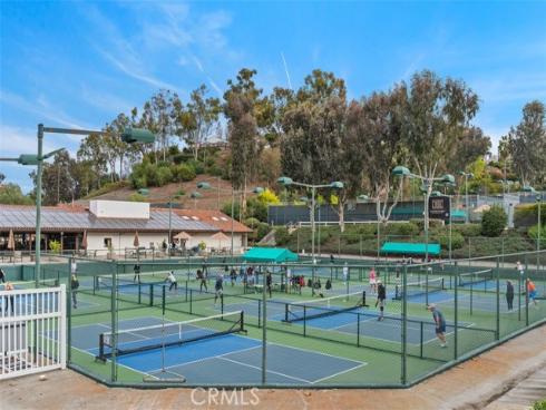 27101  Shenandoah   Drive, Laguna Hills, CA