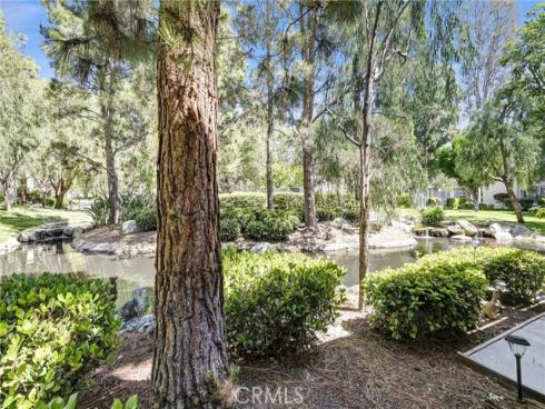 26701  Quail  147  Creek, Laguna Hills, CA