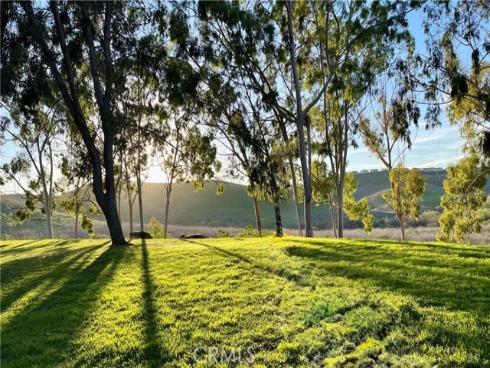 22256  Caminito Danubo  , Laguna Hills, CA