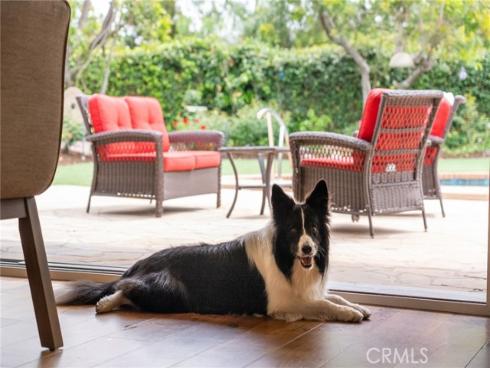 27002  Rocking Horse  , Laguna Hills, CA