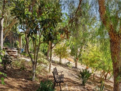 23776  Brant   Lane, Laguna Niguel, CA