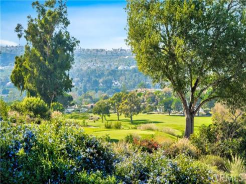 30552  Puerto Vallarta   Drive, Laguna Niguel, CA