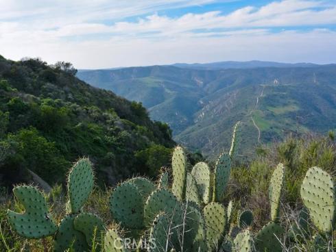 23702 Porpoise , Laguna Niguel, CA
