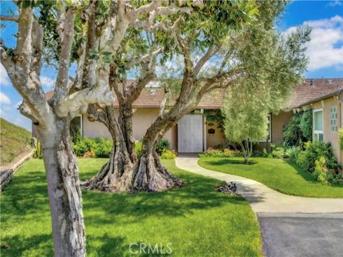 31222 Flying Cloud Drive, Laguna Niguel, CA
