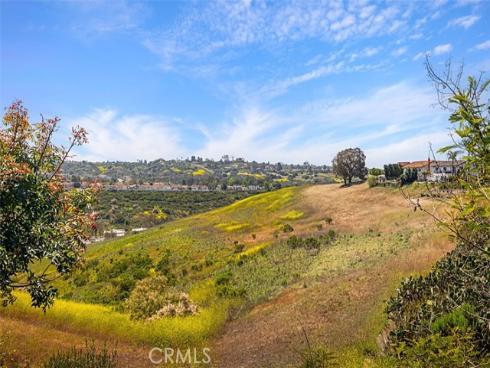 24132 Snipe Lane, Laguna Niguel, CA