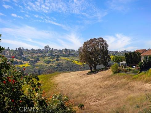 24132 Snipe Lane, Laguna Niguel, CA