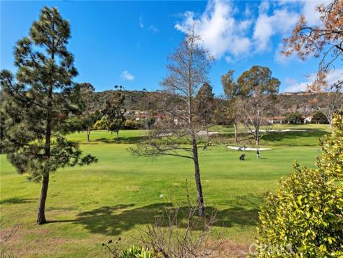 31751 E Nine , Laguna Niguel, CA