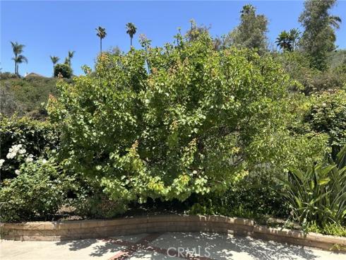 24615  Kings   Road, Laguna Niguel, CA