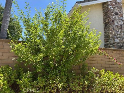 24615  Kings   Road, Laguna Niguel, CA