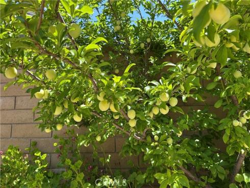 24615  Kings   Road, Laguna Niguel, CA