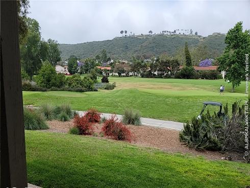 31601 E. Nine Drive 59F