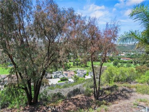 55 S Peak  , Laguna Niguel, CA