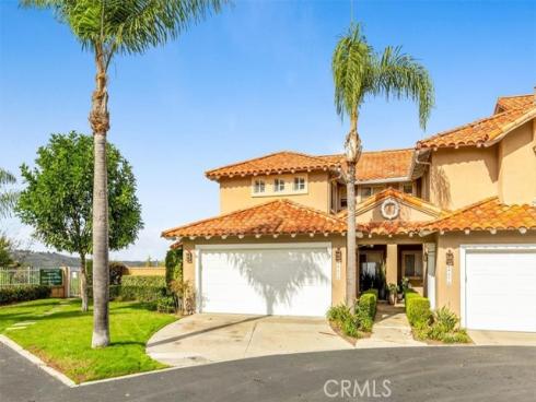 29372  Christiana  , Laguna Niguel, CA