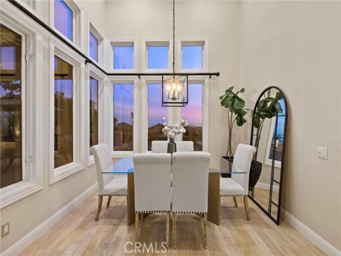 14  Newcastle  , Laguna Niguel, CA