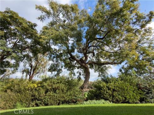 31216 W Nine  15H  Drive, Laguna Niguel, CA