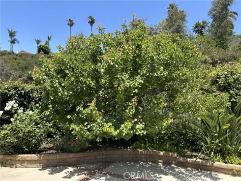 24615  Kings   Road, Laguna Niguel, CA