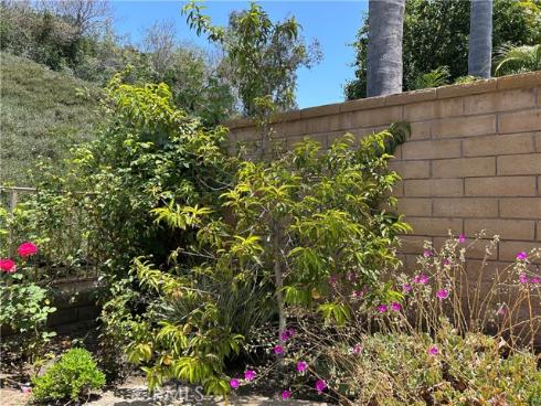 24615  Kings   Road, Laguna Niguel, CA