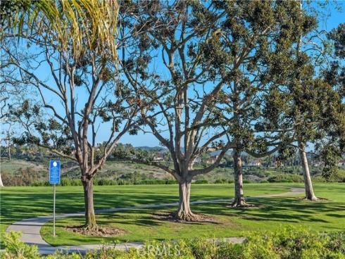 20  Vienna  , Laguna Niguel, CA