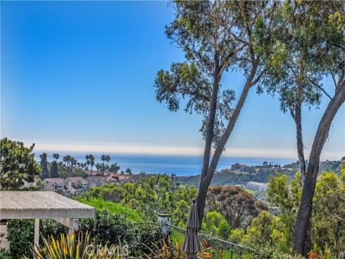 51  Hancock  , Laguna Niguel, CA