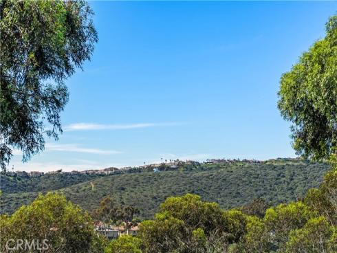 51  Hancock  , Laguna Niguel, CA